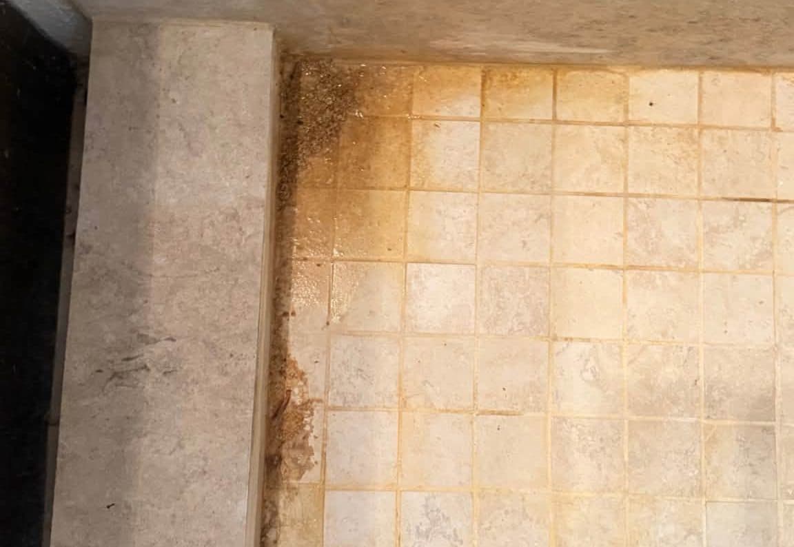 Shower corner with orange mineral staining on the tile before a deep cleaning