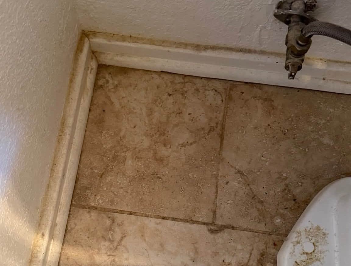 Grime along the tile and trim in a shower corner before a deep cleaning